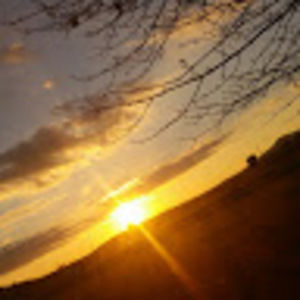 Meet your Posher, Paige